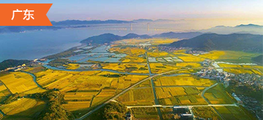 廣東墾造水田項(xiàng)目造價軟件