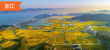 浙江土地整治項(xiàng)目造價軟件